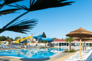 Piscine palmiers